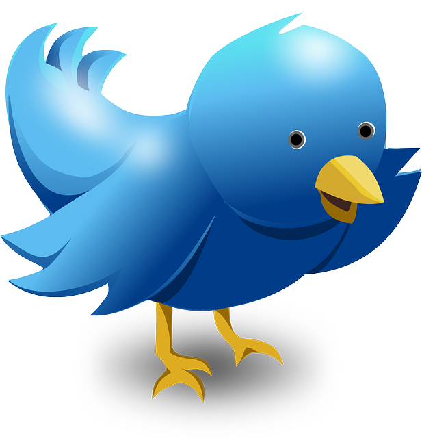 ツイッター